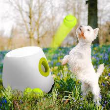 Máquina de Recompensa de Tenis para Perros - Diversión Asegurada